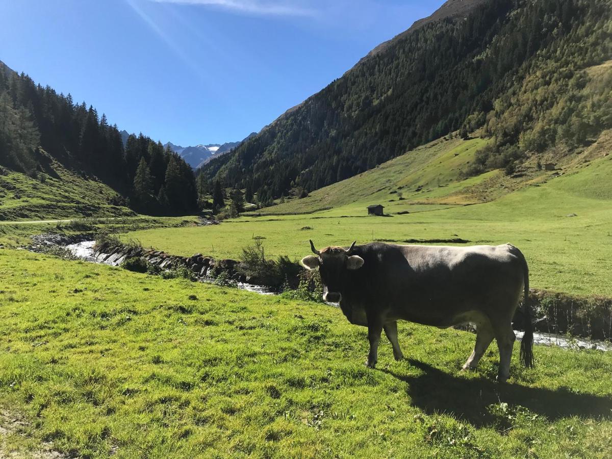 Hotel Almhof Neustift im Stubaital Eksteriør bilde